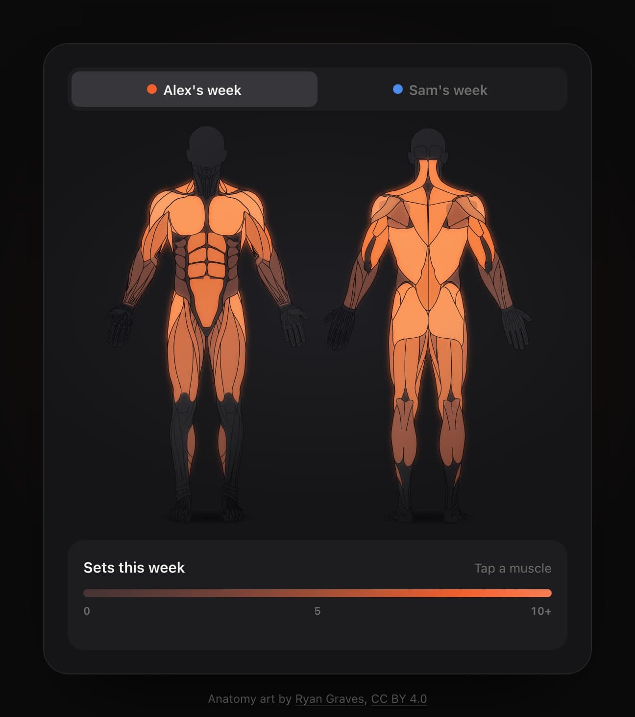 A body map card with tabs for Alex's week and Sam's week, Alex's selected. Two dark anatomical figures, front and back, glow orange where they've been trained: chest, shoulders, abs, upper back and the whole of the thighs and glutes, with the calves dimmer and the forearms and shins dark. Below, Sets this week, on a scale from 0 to 10+.